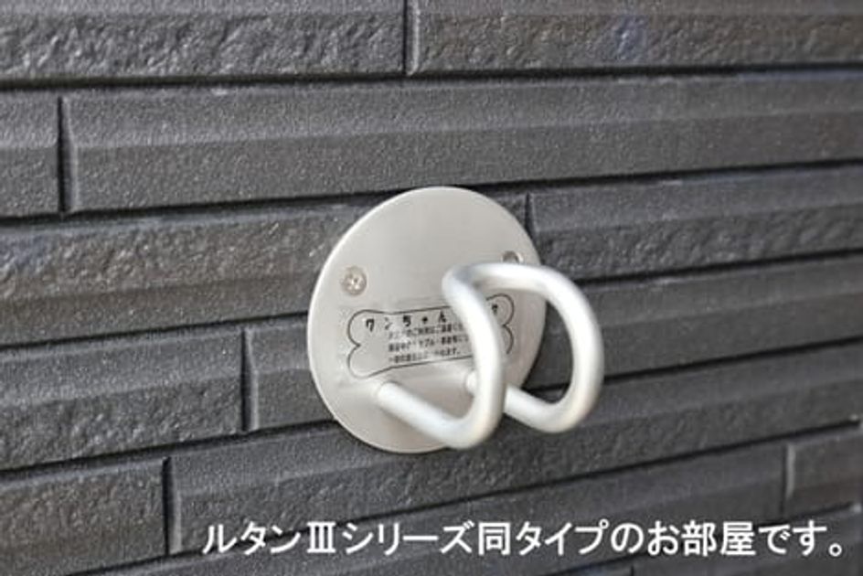 Naikan12 20260519000000 945x630
