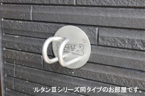 Naikan12 20260519000000