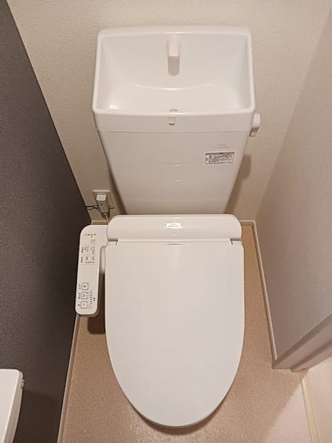 Naikan5 20260828000000 945x630