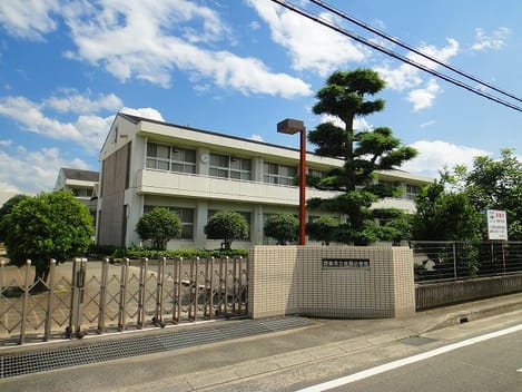 Naikan17 20210705000000