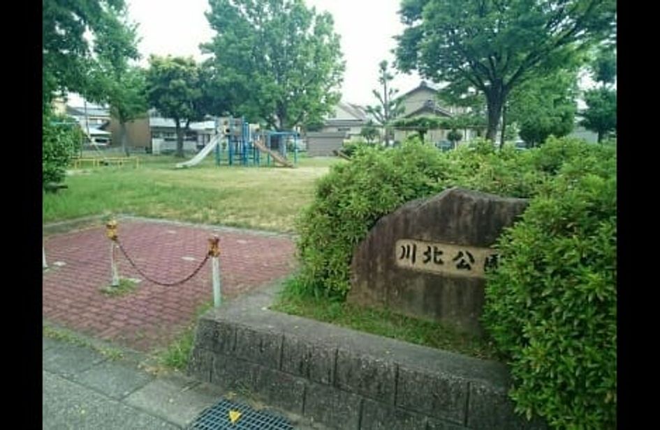 Naikan13 20200612000000 945x630