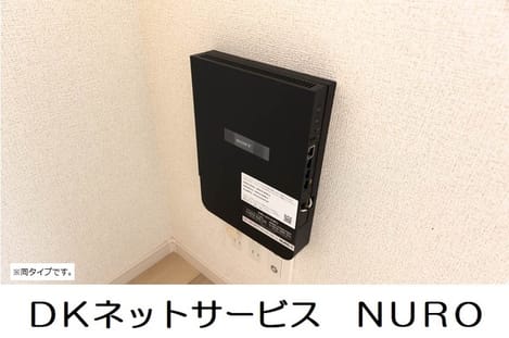 Naikan1 20260609000000