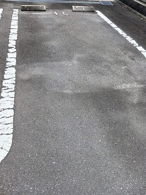 Naikan11 20260819000000