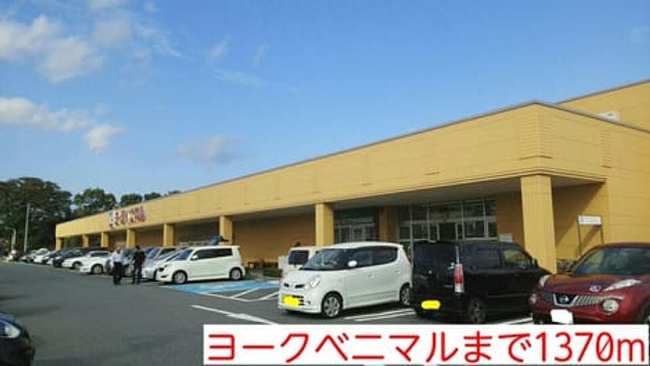 Naikan13 20150125000000 945x630