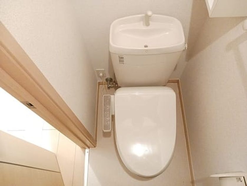 Naikan6 20260806000000 945x630