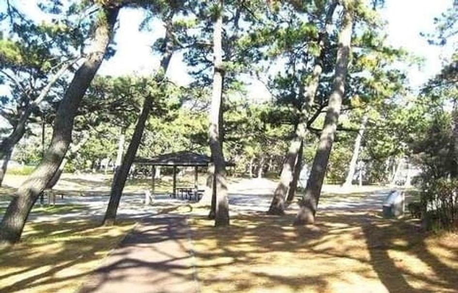 Naikan18 20260121000000 945x630