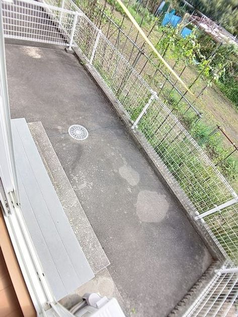 Naikan10 20260924000000 945x630