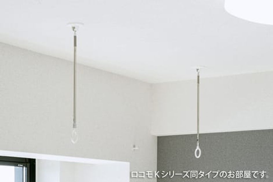 Naikan11 20251215000000 945x630