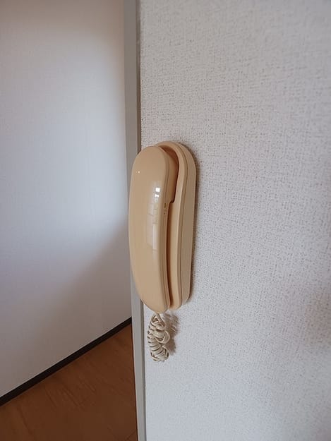 Naikan12 20260827000000