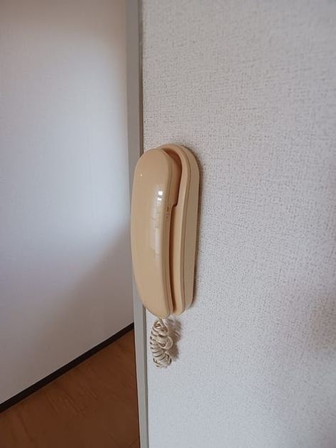 Naikan12 20260827000000 945x630