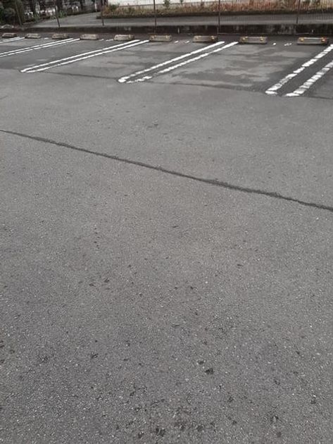 Naikan10 20220214000000 945x630