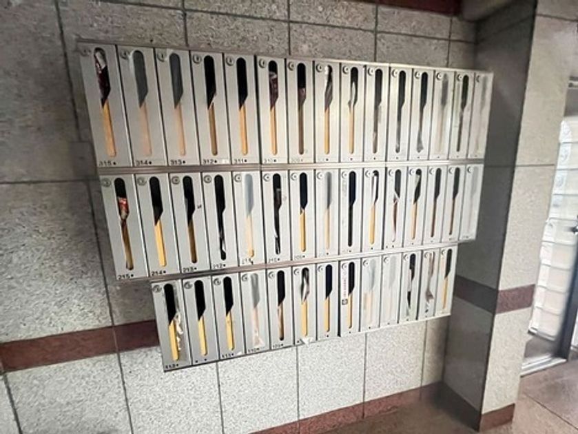 Naikan11 20260716095414 945x630