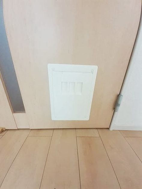 Naikan12 20220722000000 945x630