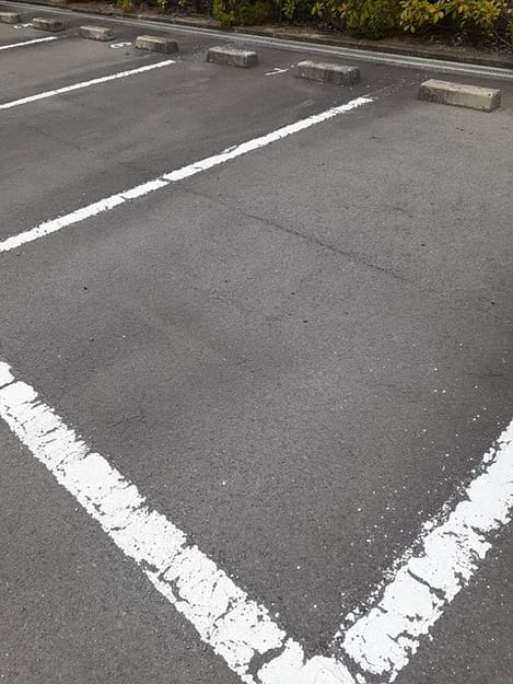 Naikan11 20260904000000