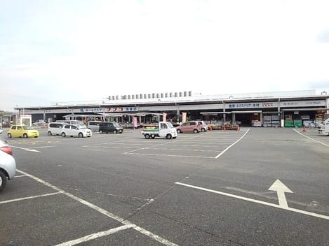 Naikan17 20211006000000