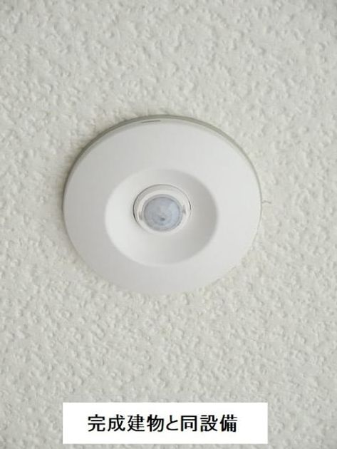 Naikan11 20260729000000 945x630