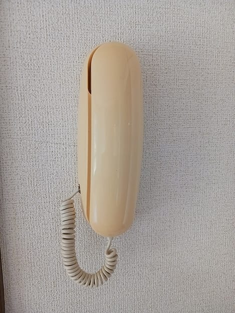 Naikan8 20260826000000