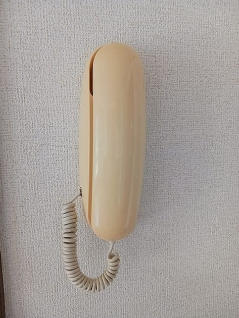 Naikan8 20260826000000 945x630