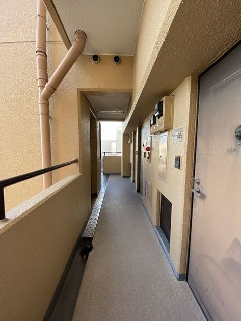 Naikan23 20250420015956 945x630
