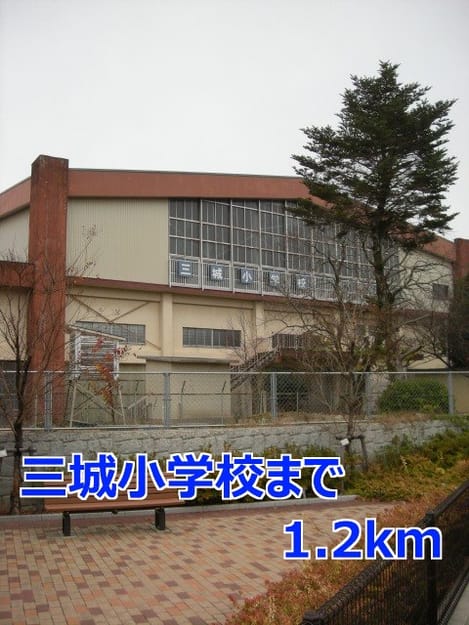 Naikan17 20201023000000
