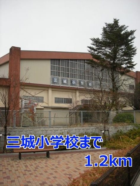 Naikan17 20201023000000 945x630