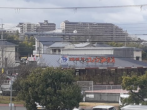 Naikan17 20240206000000