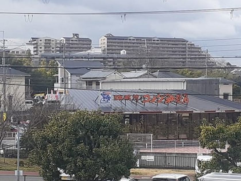 Naikan17 20240206000000 945x630