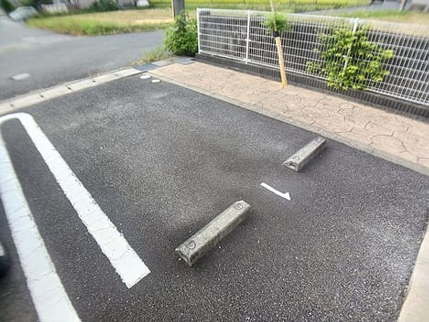 Naikan11 20260925000000 945x630