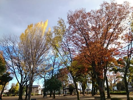 Naikan13 20200917000000