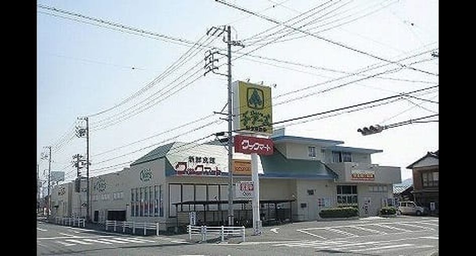 Naikan17 20220323000000 945x630