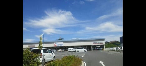 Naikan13 20210115000000