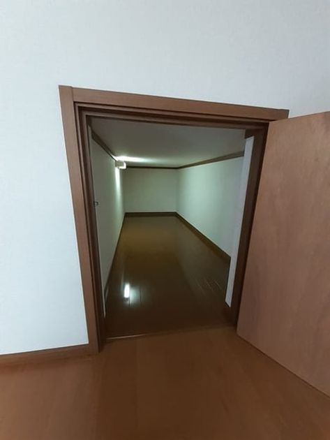 Naikan8 20211113000000 945x630