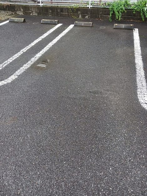 Naikan11 20241008000000