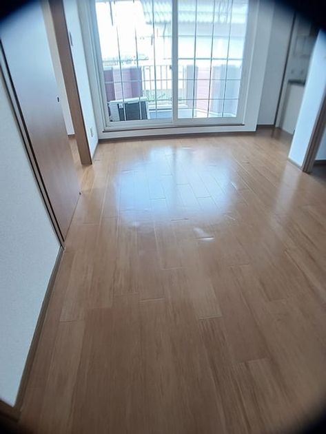 Naikan1 20261022000000 945x630