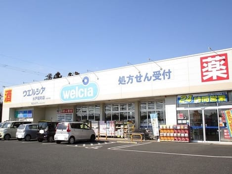 Naikan14 20250107000000