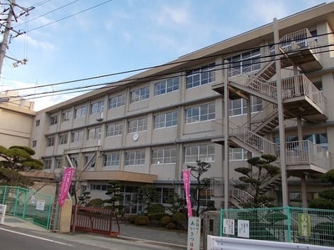 Naikan17 20200218000000
