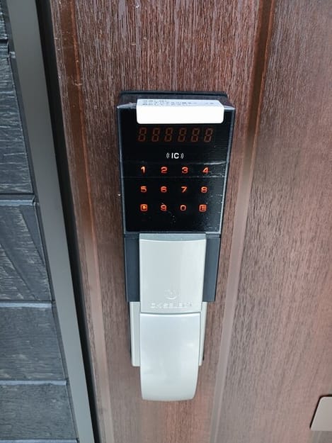 Naikan11 20251118000000