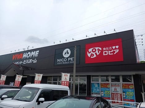 Naikan16 20250707000000