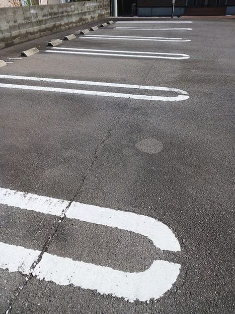 Naikan11 20261027000000 945x630