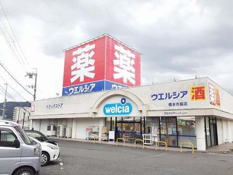 Naikan17 20230912000000