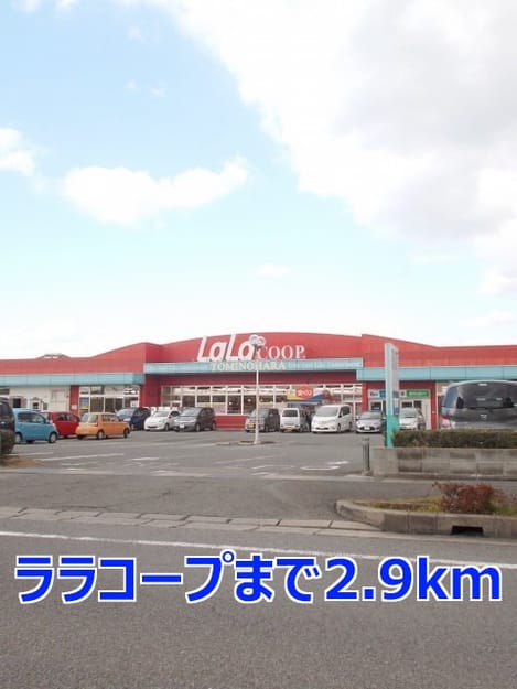 Naikan14 20140323000000