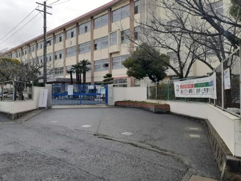 Naikan16 20240315000000 945x630