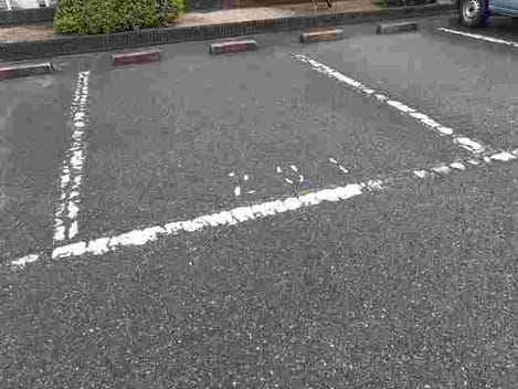 Naikan11 20210616000000