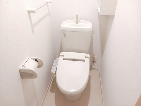 Naikan12 20241129000000