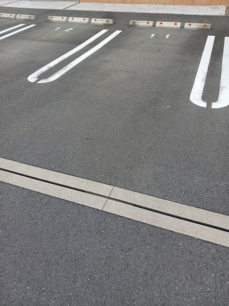 Naikan10 20250115000000