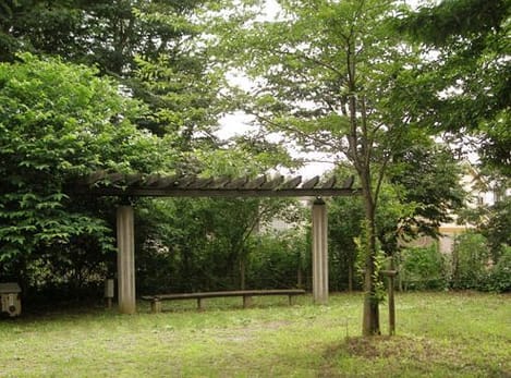 Naikan17 20260512000000