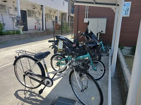 Naikan11 20250424000000