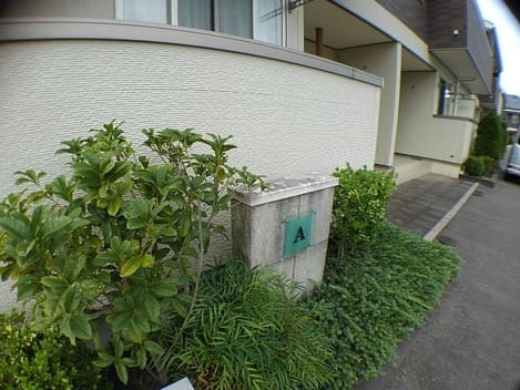 Naikan11 20190910000000
