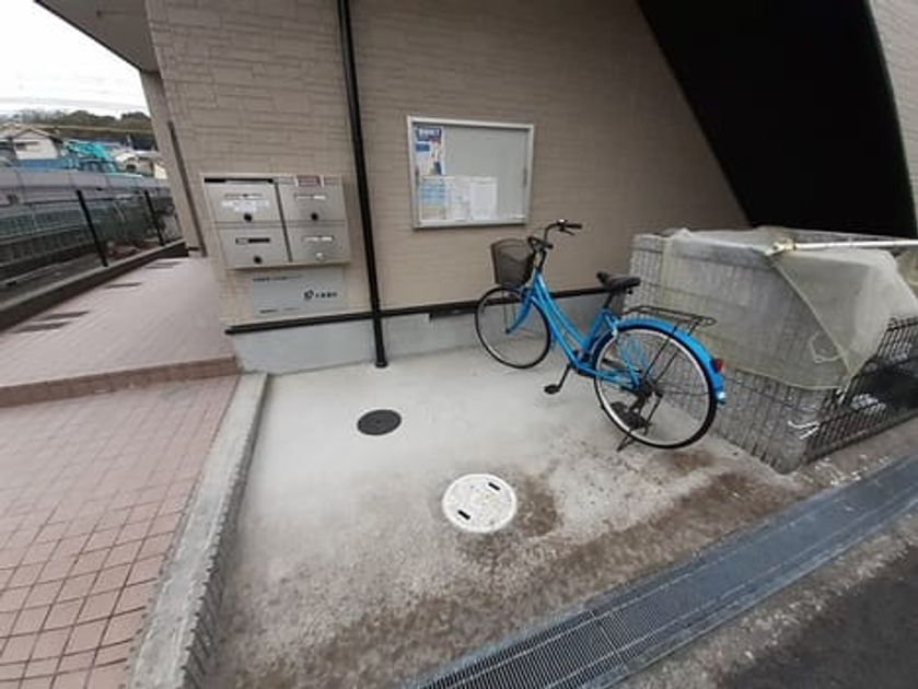 Naikan11 20220208000000 945x630