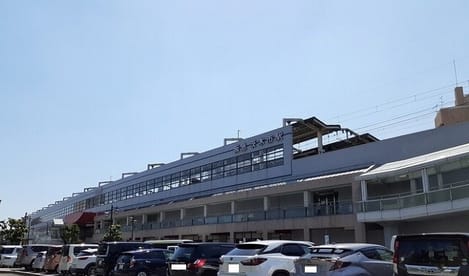 Naikan13 20250709000000